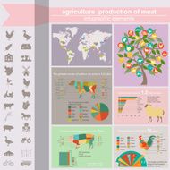 Agriculture animal husbandry infographics Vector illustrations N12