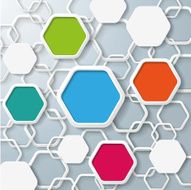 Colored And White Hexagons Infographic N2