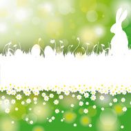 Easter Card Background White Grass Rabbit Flower Centre N2