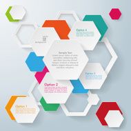 Infographic Colored Paper Hexagons N2