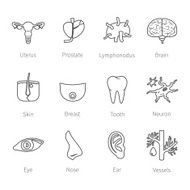 Vector icon set of human organs in flat style