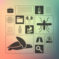 veterinary infographic with unfocused background N4