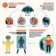 Ebola Virus Disease Infographics