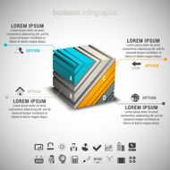 Infographic N166