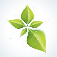 ECO Infographics N4