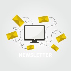 newsletter concept N2