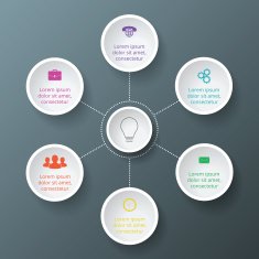 Vector circle infographic N33