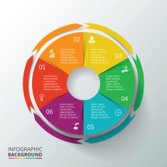 Vector circle infographic N36