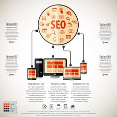 SEO services infographics N2