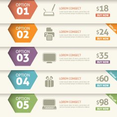 Option and price infographic