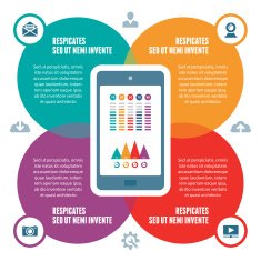 Infographic Concept - Vector Scheme with Icons N11