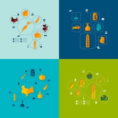 agriculture flat infographic