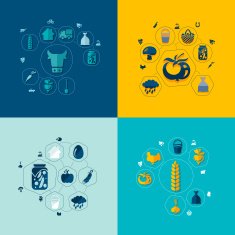 agriculture flat infographic N2
