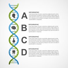 DNA science infographics Vector design element