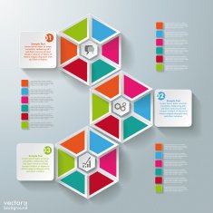 Infographic Hexagon Pieces Rectangle 3 Options