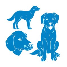 Abstract dogs