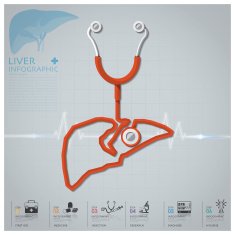 Liver Shape Stethoscope Health And Medical Infographic N2