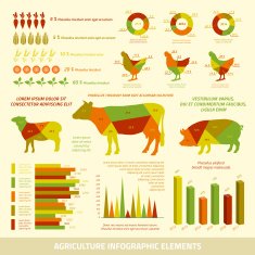 Agriculture infographics flat design elements