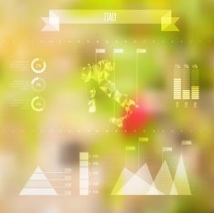Abstract Italy Map with Infographic Elements on Blurred Backgrou N2