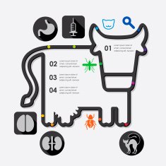 veterinary infographic