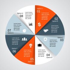 Vector circle diagram infographic for business presentation N11