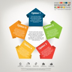 Minimal infographics N18