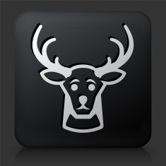 Black Square Button with Reindeer Icon