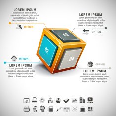 Infographic N169
