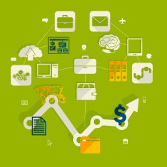 business flat infographic N5