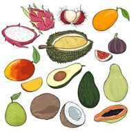 Vector Set of Cartoon Exotic Fruits