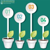White Flower Plant Infographic On A Wood Base N2