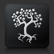 Black Square Button with Tree Icon