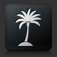 Black Square Button with Palm Tree Icon N2
