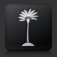 Black Square Button with Palm Tree Icon N3