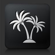 Black Square Button with Palm Tree Icon N4
