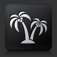 Black Square Button with Palm Tree Icon N5
