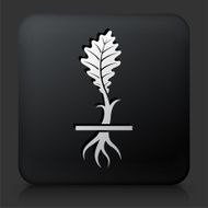 Black Square Button with Growing Plant N2