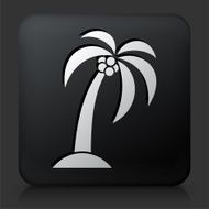 Black Square Button with Palm Tree Icon N6