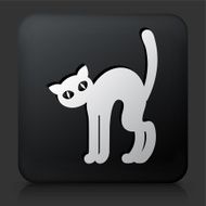 Black Square Button with Halloween Cat