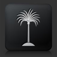 Black Square Button with Palm Tree Icon N10