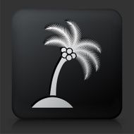 Black Square Button with Palm Tree Icon N11