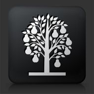 Black Square Button with Pear Tree
