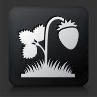 Black Square Button with Strawberries