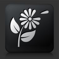 Black Square Button with Petals Icon