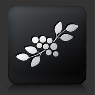 Black Square Button with Berry Leaf Icon