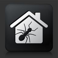 Black Square Button with Ant Pests at Home Icon