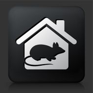 Black Square Button with Rodent at Home