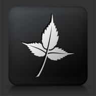 Black Square Button with Leaf Icon
