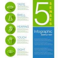 Five Senses Infographic Design
