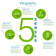 Five Senses Infographic Design N2